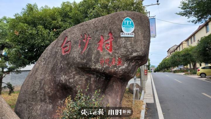 我家这十年|江山白沙村,一部村志写尽搬迁大变化