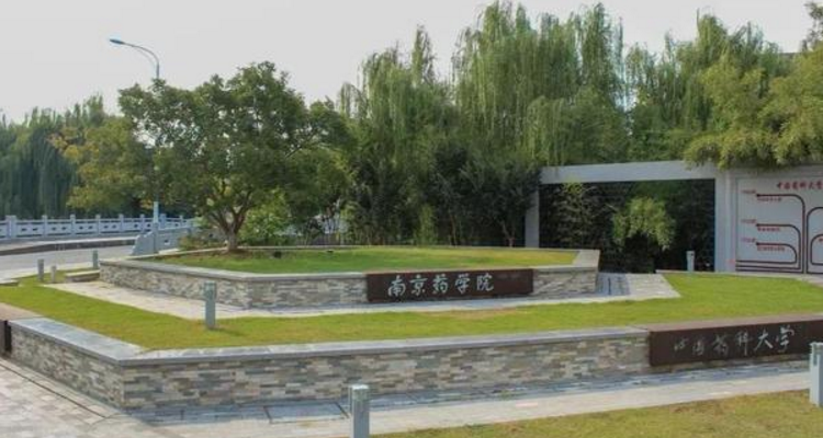 南京药科大学是985还是211的