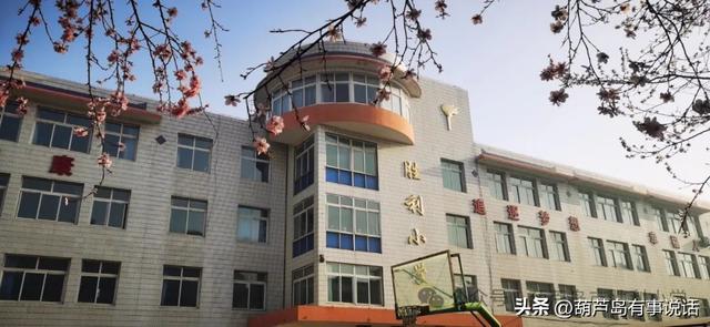 葫芦岛市胜利小学图片