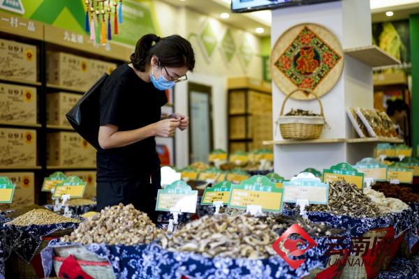 助力乡村振兴 昆明禄劝拓宽特色农产品销售渠道