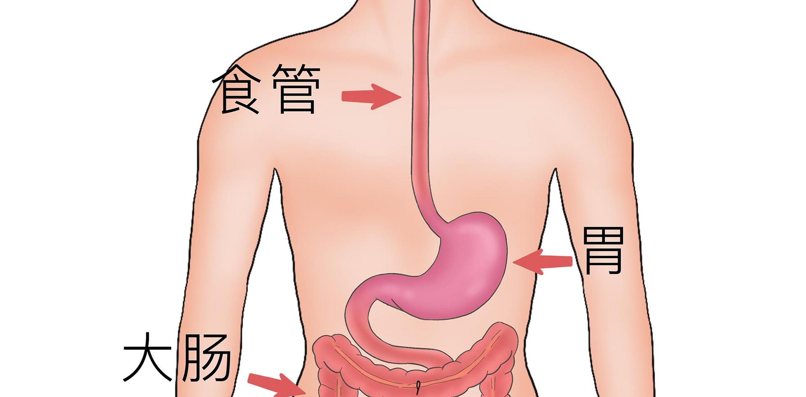 身体如果有这3种感觉要小心了,可能是食管癌的前兆