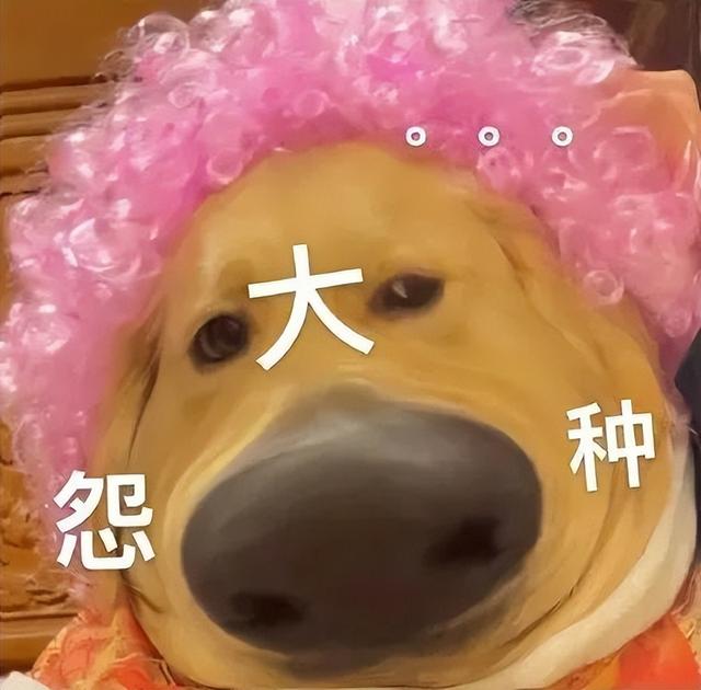 可爱搞笑的表情包:垃圾桶都没你能装