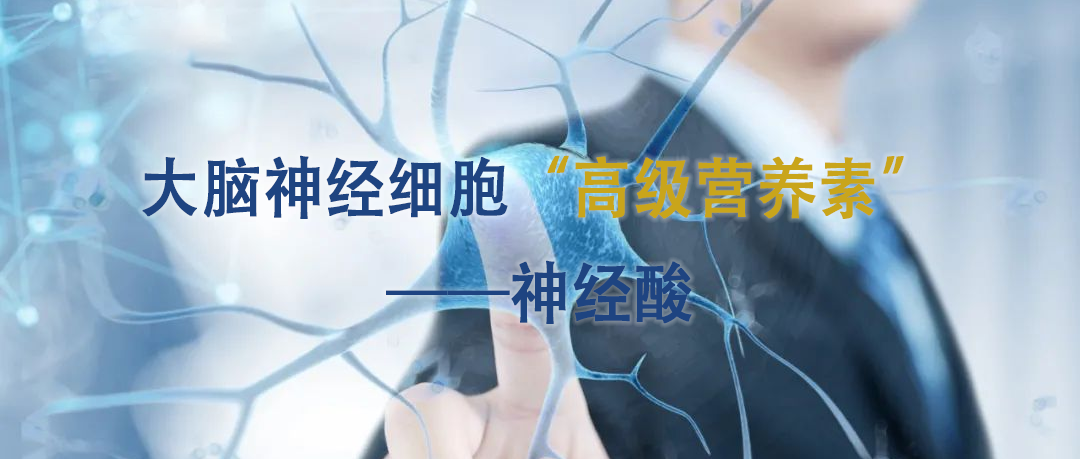 大脑神经细胞"高级营养素"——神经酸