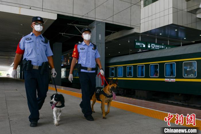 重庆警犬高温下保暑运安全 每天检查近600件行李物品