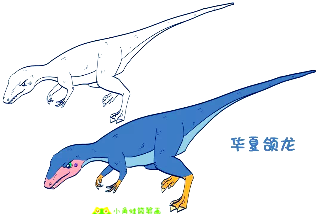 从美颌龙到中华龙鸟:恐龙的原始羽毛与进化奥秘