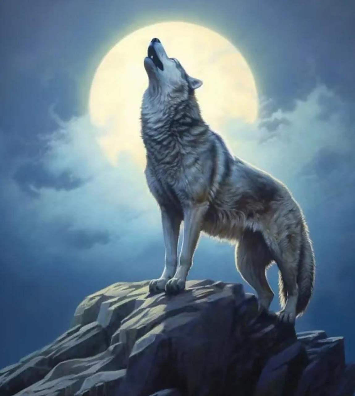 老人言: 狼怕托,狗怕摸, 好男好女怕啰嗦.