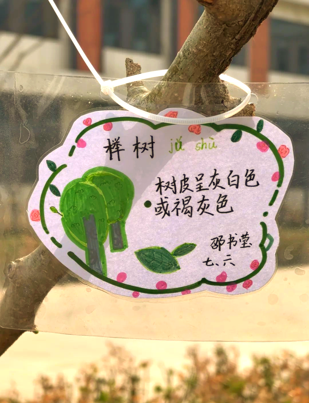 春日里,画笔下的绿色生机勃勃,名牌上的树木仿佛跃然而出