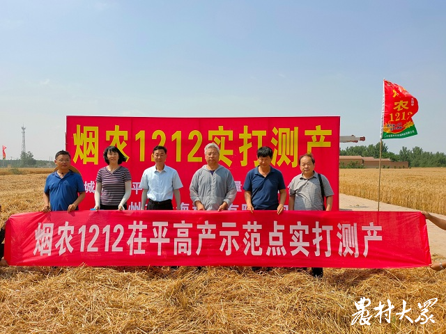 烟农1212破鲁西地区小麦单产纪录