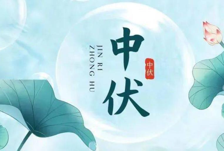 到了二伏,为什么说"头伏饺子二伏面",传统文化还有谁知道