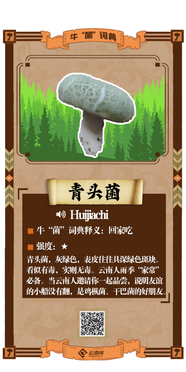 有声海报|野生菌的"英文名"你都知道吗→jier