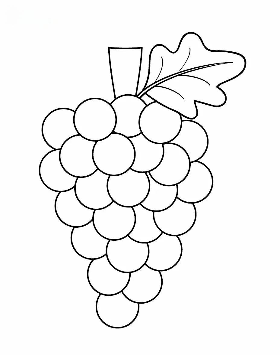 水果简笔画图片精选