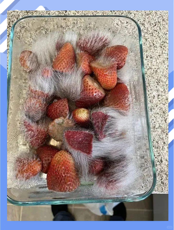 发霉食物的惊人变化,你准备好了吗