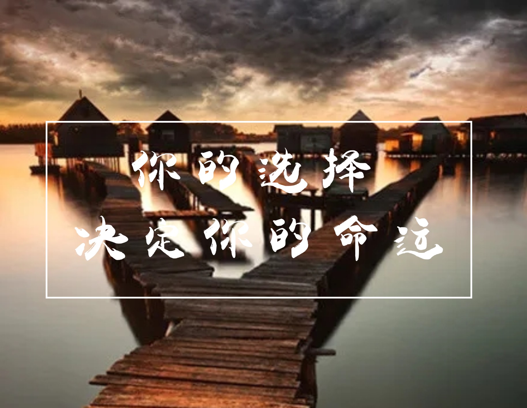 你的选择决定你的命运!