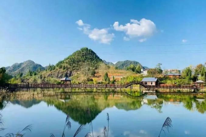 乡游黔中 · 印江县 紫薇镇 | 千年古树矗立于此,迎接你探秘