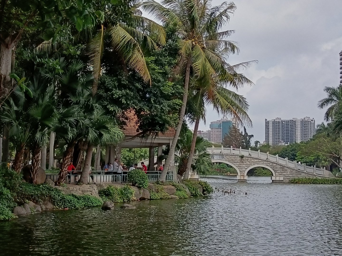 广东:林木葱葱,湖光悠悠,湛江霞湖公园的美丽清晨