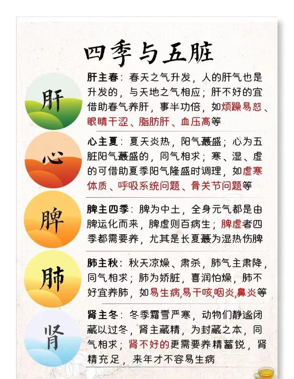 四季与五脏关系 一张图就可以明白