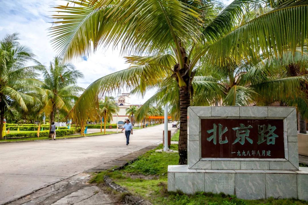 这里只对中国游客开放