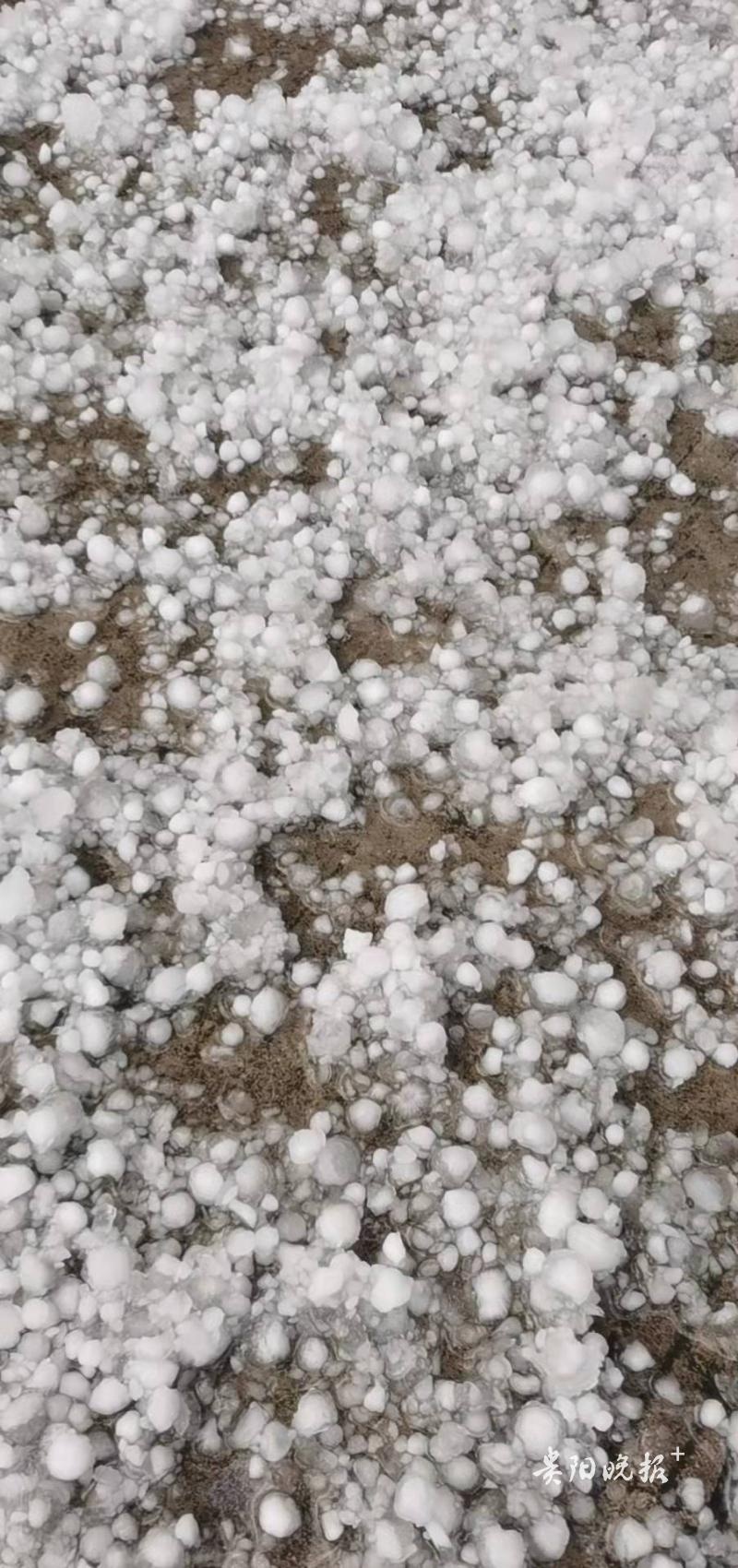 刚刚!贵阳观山湖区下起了冰雹雨!