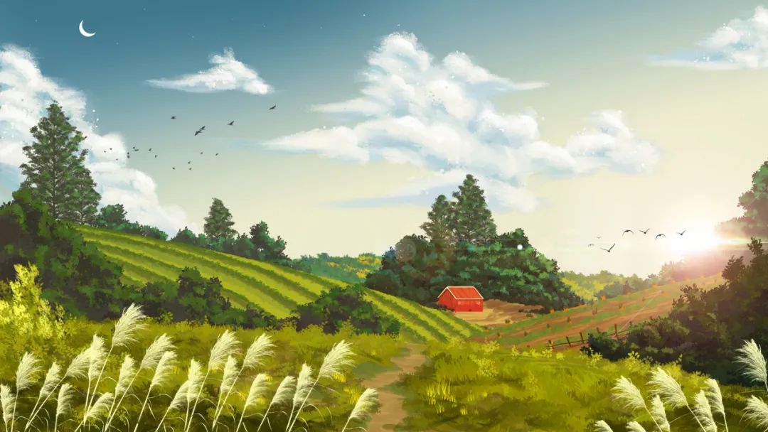 夏天是什么颜色的?答案藏在这些古诗词里