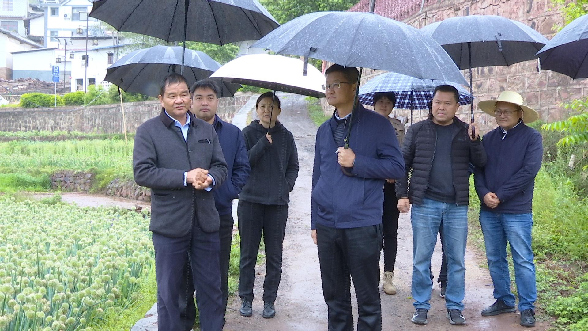 吴亚峰在专题调研粮食安全时强调:统一思想 扛牢压实责任 确保粮食