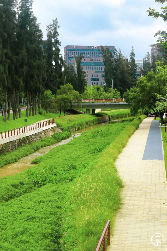 实测深圳塘朗,房租太太太太贵了?