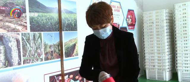 何启华:用一碗暖心红糖开启"甜蜜事业"