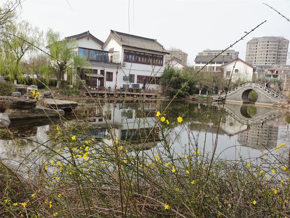 连云港海洲公园:邂逅最美的春天