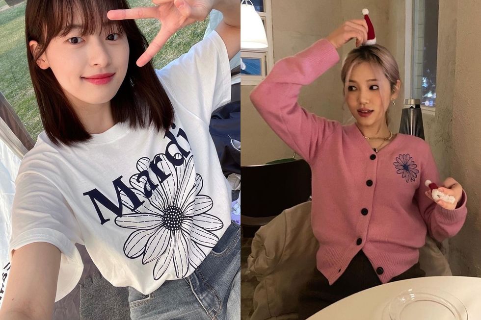 红到全球!金高银,李圣经都爱的"小雏菊"是什么牌子?