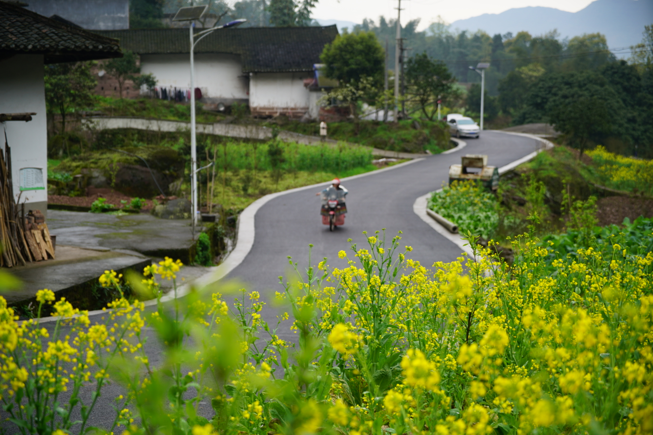 赤水市白云乡:护好"四好农村公路" 助力乡村振兴