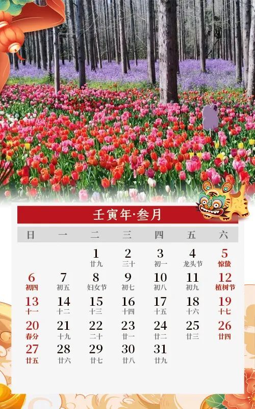 承包你的2022!崇明版美景日历新鲜出炉,快收藏