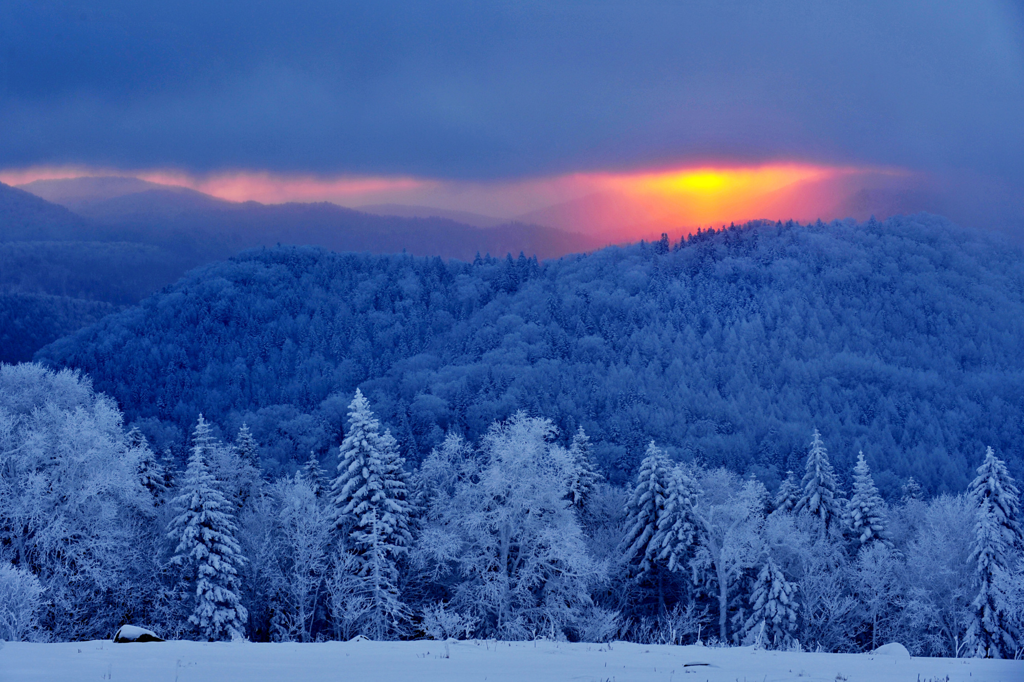 旅游|冬游龙江,感受冰雪魅力!