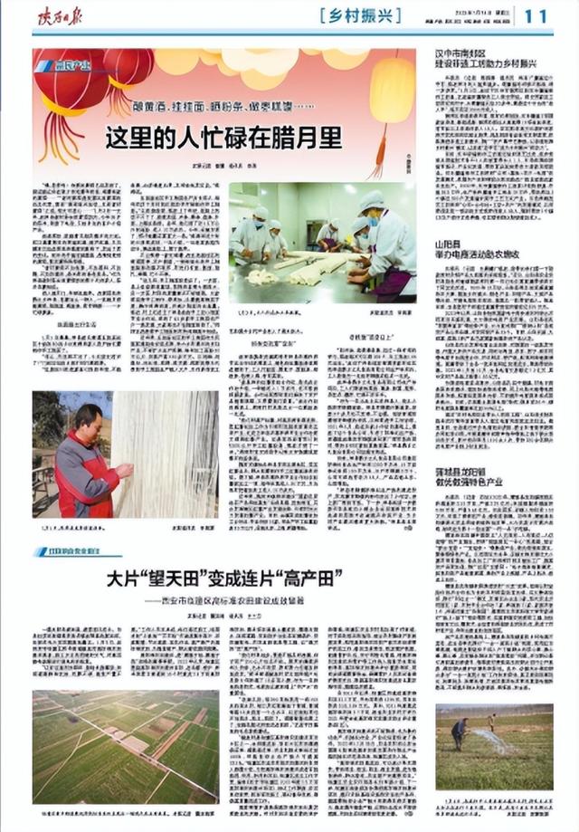 蒲城县龙阳镇做优做强特色产业