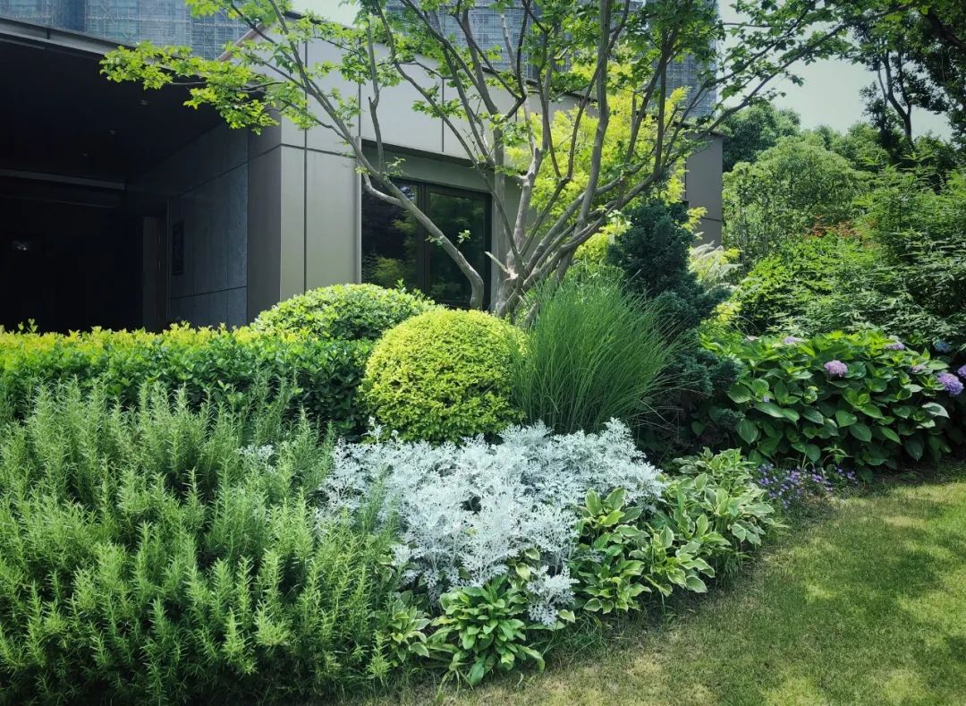 我对种植设计的态度是:与自然融合生长|何文红 行业见言11