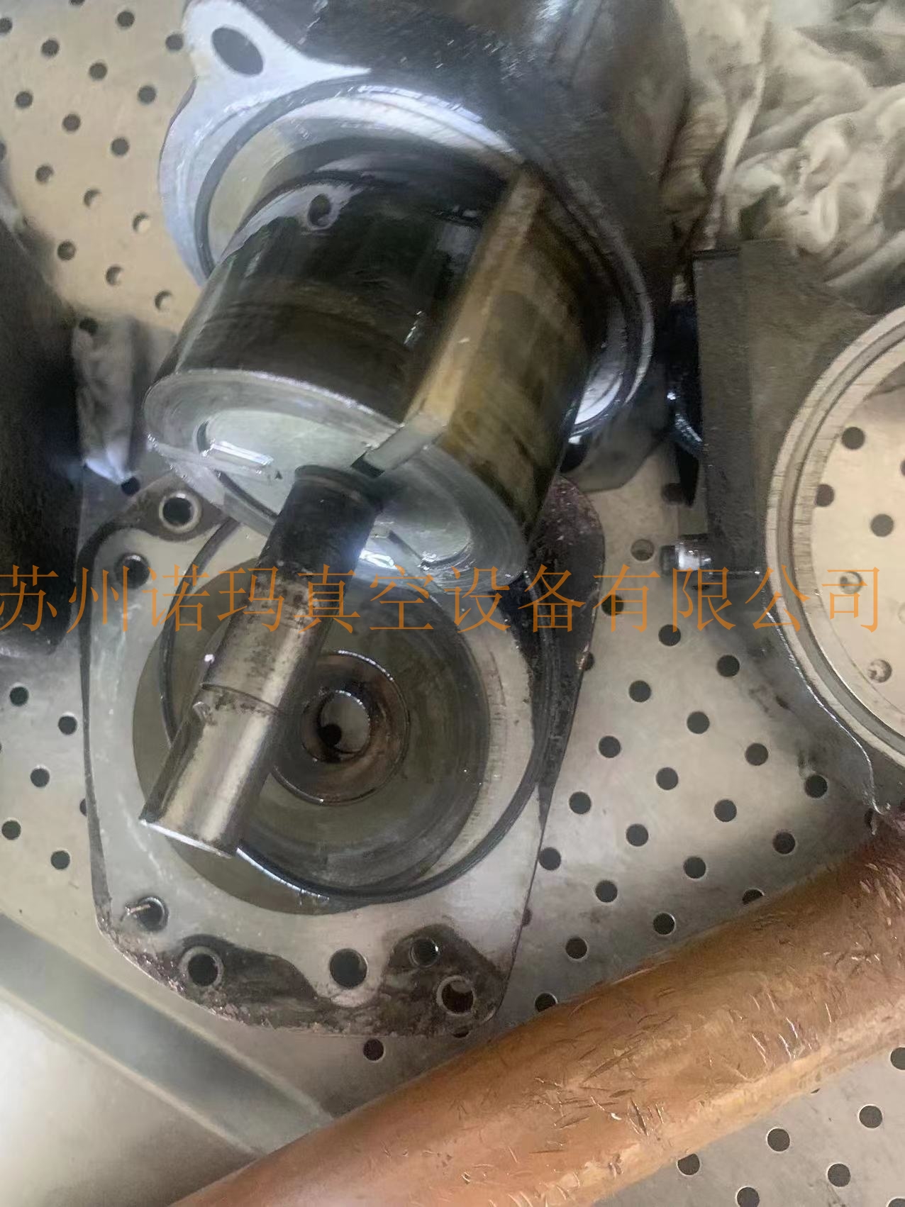 莱宝d16c真空泵维修