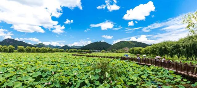 519幸福旅程从保山开始施甸姚关野鸭湖湿地旅游景区