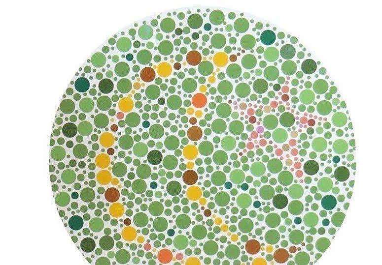 驾考常见色盲检测图,每个都很简单,看不出来就别浪费钱了