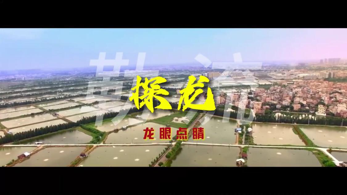 探龙勒流|"龙眼点睛 焕发新生"点睛勒流焕新颜!