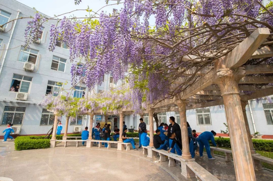 「情系一中」回首峥嵘路 重拾少年心——莱西一中校史资料征集工作