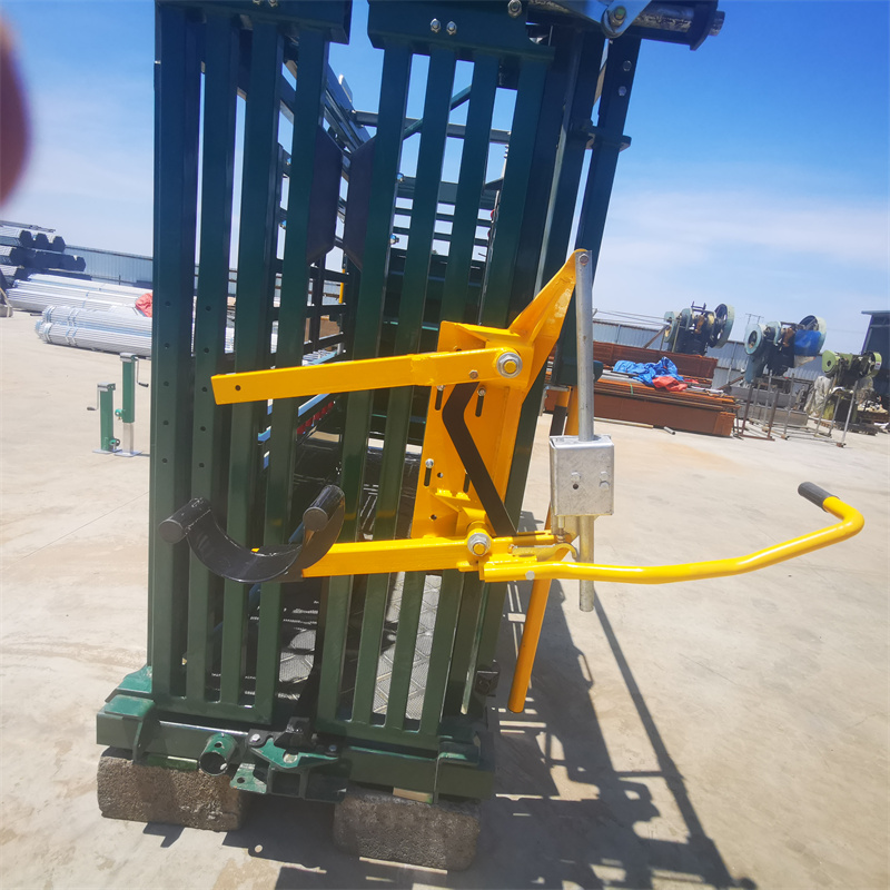 提升养牛效益的关键:牛保定架的选择