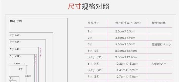 1╟10寸照片表参照物图片