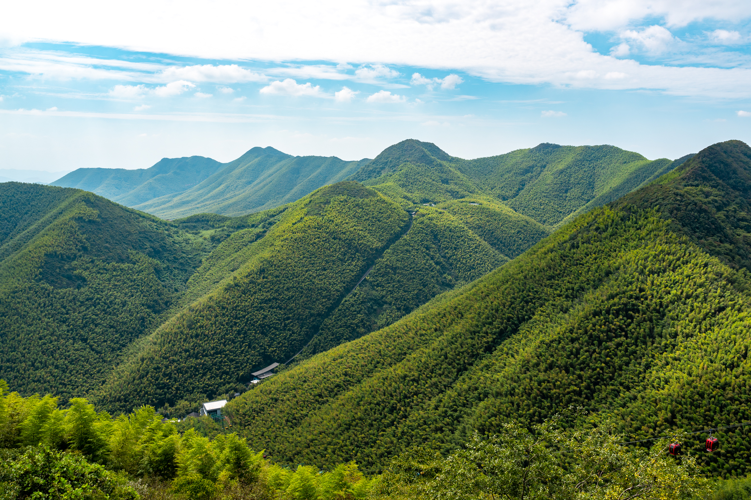 到溧阳旅游必打卡的景点,坐拥3.5万亩翠竹,国庆节度假好去处