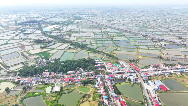 大冶东风农场图片