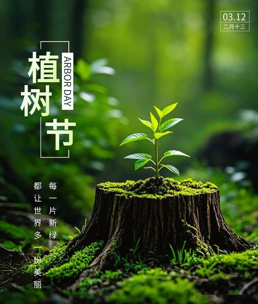 3月12日朋友圈一定要这样发