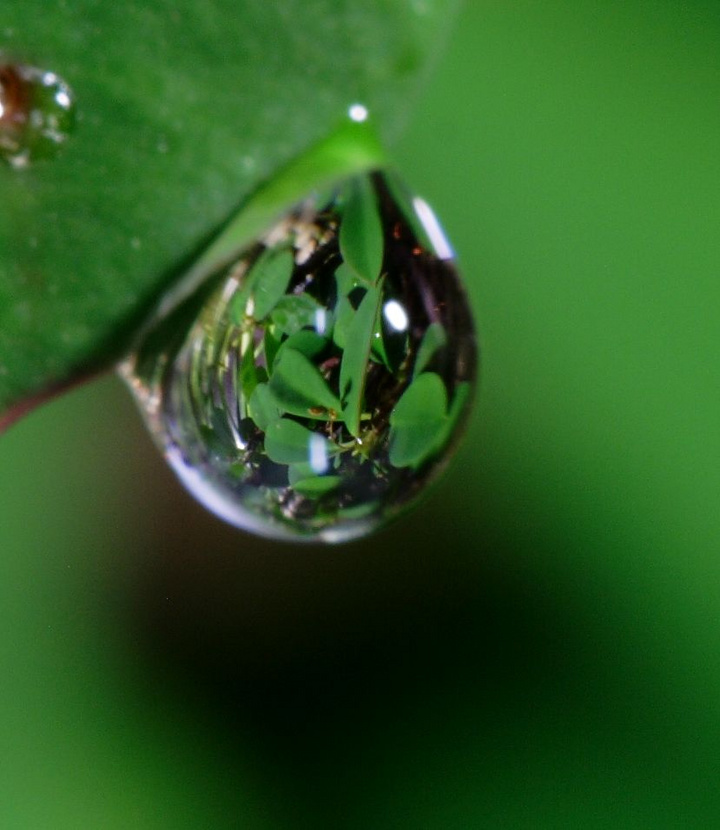 夜雨丨苏更生:做一滴水