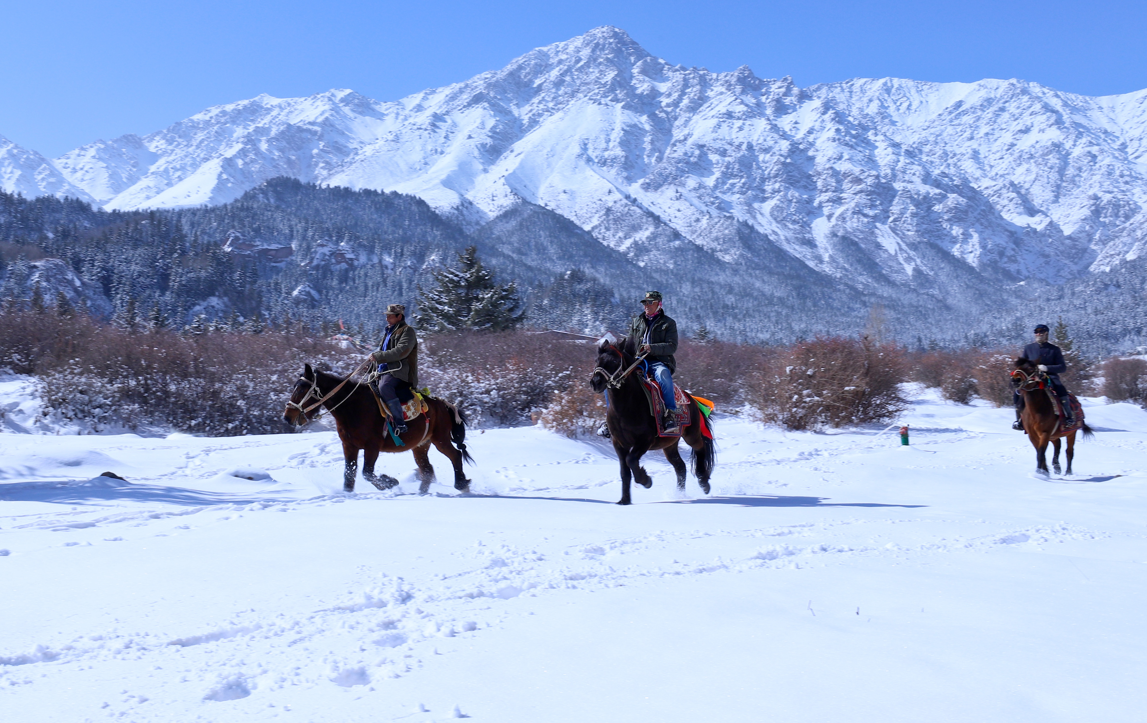 雪映祁连山