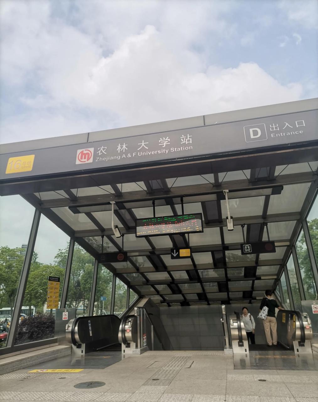 五一前在杭州临安区浙江农林大学附近住了一段时间,发现相邻的几条