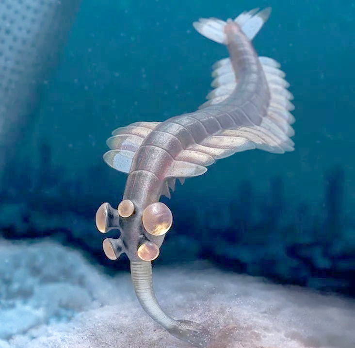 远古海洋的奇特生物