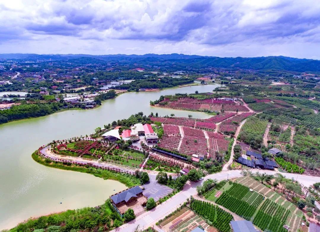 南宁2024春节期间文旅活动攻略四惠游乐民欢度新春系列活动