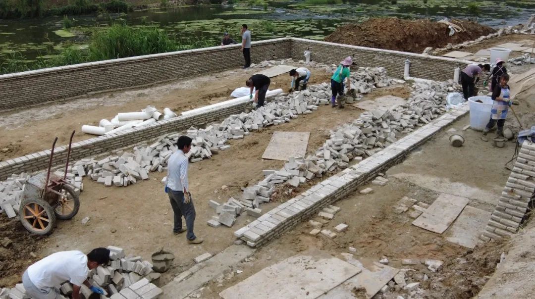 曾琨到龙宫镇对农业农村工作开展调研