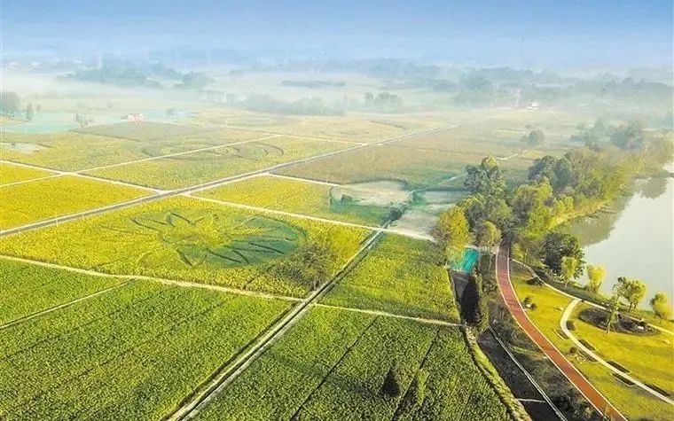 邓小刚:夯实建设现代化产业体系根基